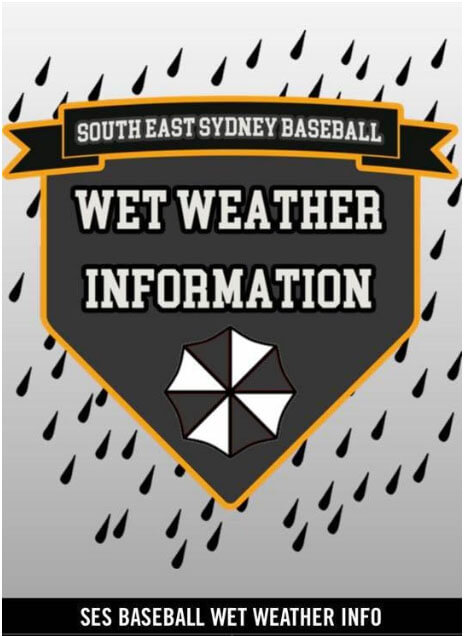 South East Sydney Wet Weather Info logo